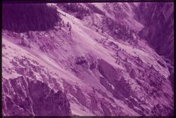 F-1=  Grand Canyon  of the Yellowstone.  The left side from above and down stream  C.W. Cushman