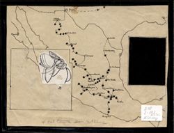 Alfred C. Kinsey Gall Wasp Research Maps