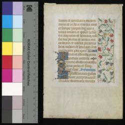 Book of Hours [Fragment]